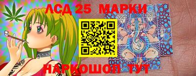 Альфа ПВП Краснознаменск