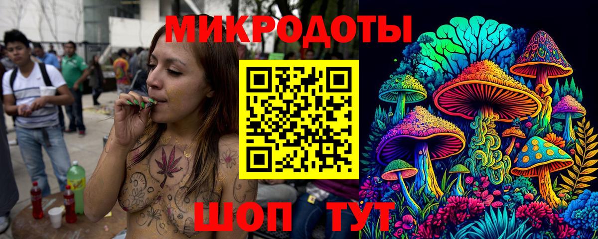 Камень-на-Оби  Псилоцибиновые грибы Magic Shrooms  Вход с VPN 