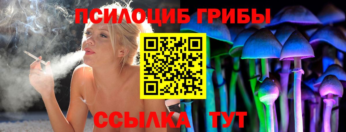Галлюциногенные грибы мицелий Камень-на-Оби